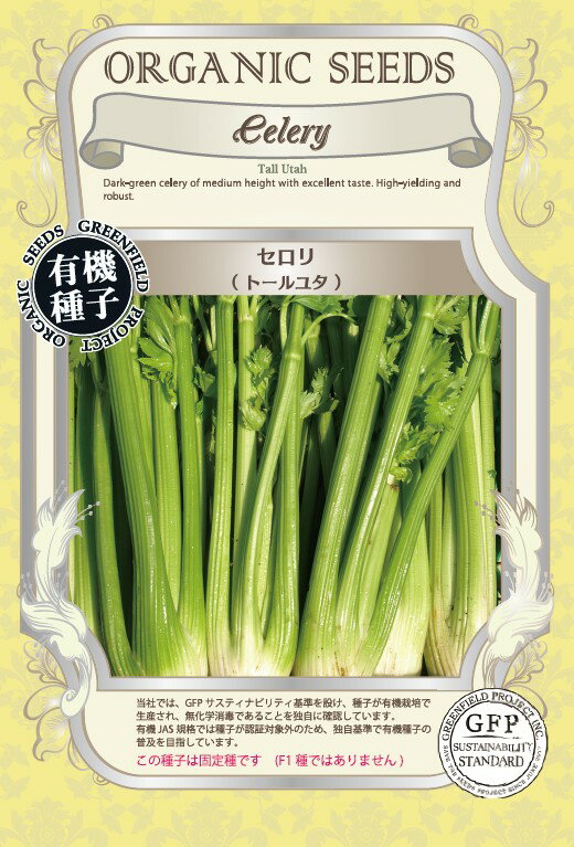 A561 セロリ（トールユタ） 4560496705828