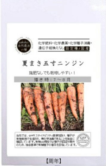A515 ニンジン（夏まき五寸）S_ 4560496705385