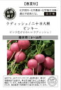 A583 ラディッシュ (二十日大根 )ピンキー_ 4560496706047