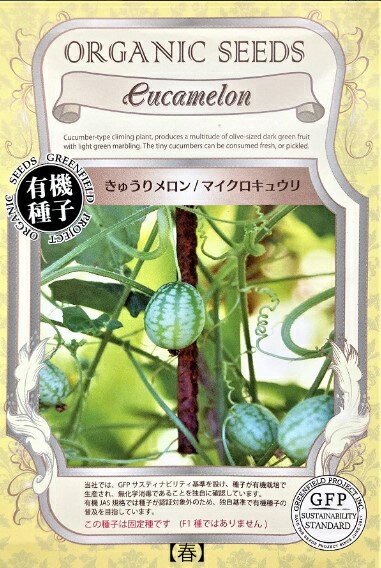 A626 きゅうりメロン / マイクロキュウリ 4560496706474のサムネイル