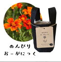 B117 のんびりオーガニック(フレンチゴールド)栽培キット 4560496709031