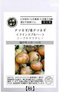 【8月19日以降順次出荷】A603 タマネギ（黄タマネギ ）ラインスブルハー _ 4560496706245