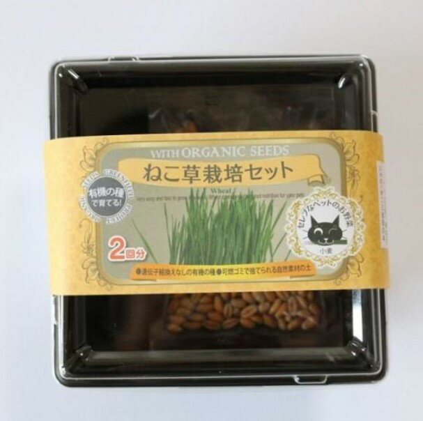 B083 ねこ草栽培キット箱 (種小2袋付) 4560496709376