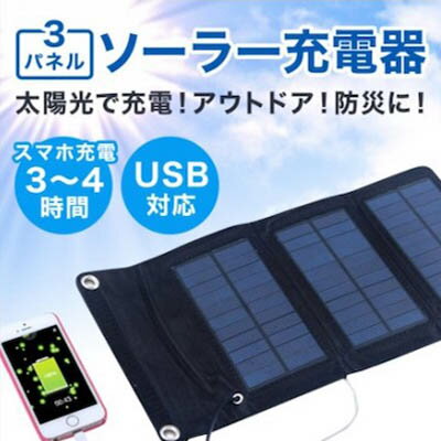 東芝(TOSHIBA) LR14H2KP インパルス アルカリ乾電池 単2形 2本パック