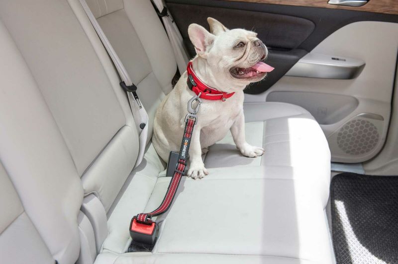 DOGNESS　ドッグネス　カーシートベルト ロング 簡単装着 飛び出し防止 犬 シート...