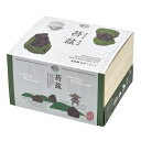 聖新陶芸 SEISHIN 苔盆 栽培キット 4528757034353