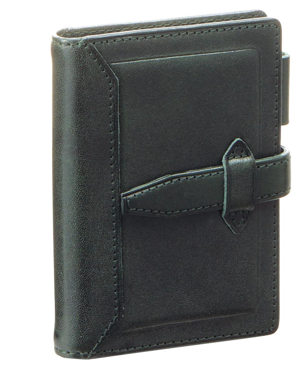 レイメイ藤井 システム手帳 ダヴィンチ ロロマクラシック ミニ5 グリーン DPM3034M