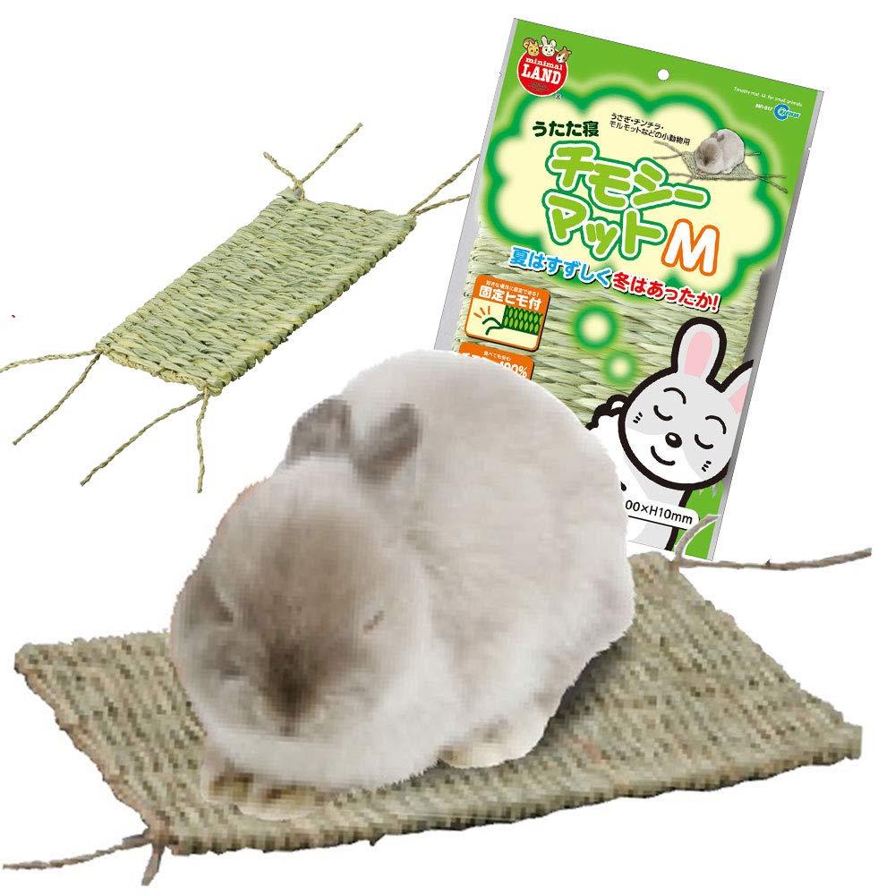 ミニマルランド うたた寝チモシーマット M サイズ