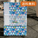 《ネコポス送料無料》【大判】御朱印帳(納経帳) さんかく富士山(青) 朱印帳 納経帳 集印帳 かわいい