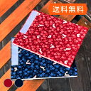 《ネコポス送料無料》見開き御朱印帳(納経帳)花うさぎ 紺 赤 蛇腹 朱印帳 納経帳 集印帳 かわいい