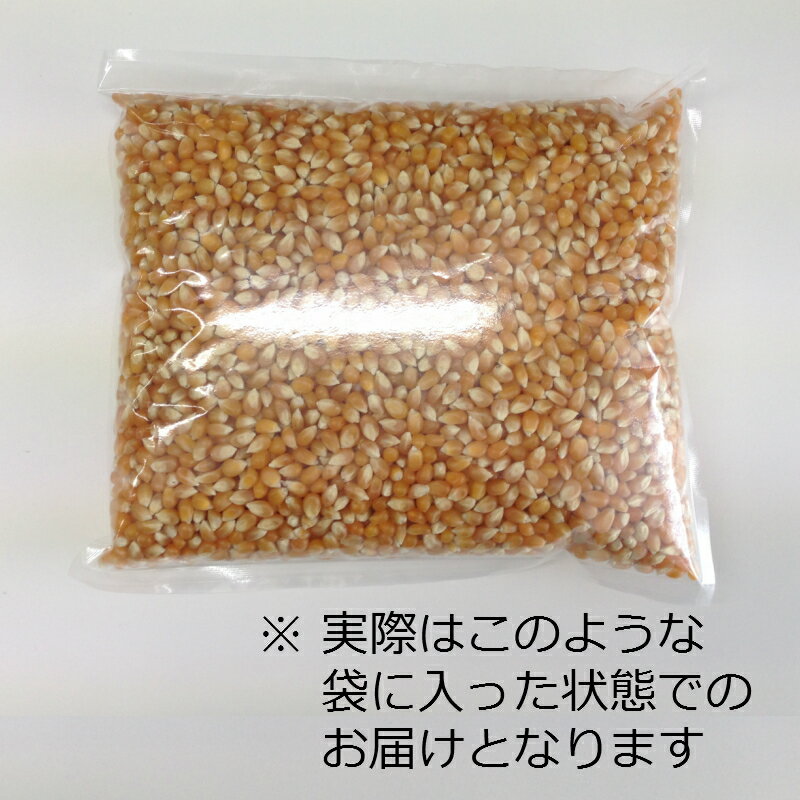 ポップコーン豆1kg【バタフライ種】