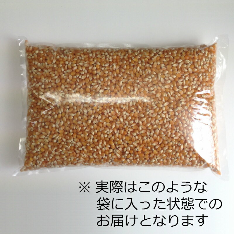 ポップコーン豆2.5kg【バタフライ種】