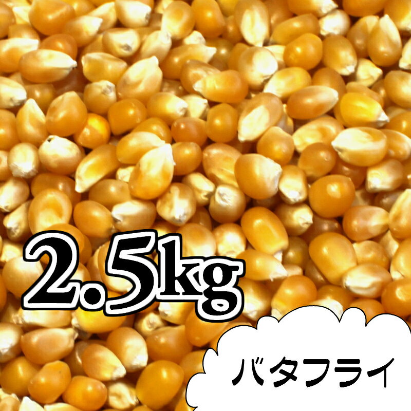 ポップコーン豆2.5kg【バタフライ種