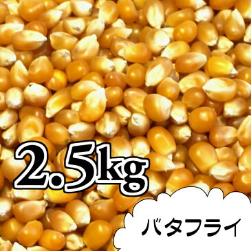 ポップコーン豆2.5kg【バタフライ種】