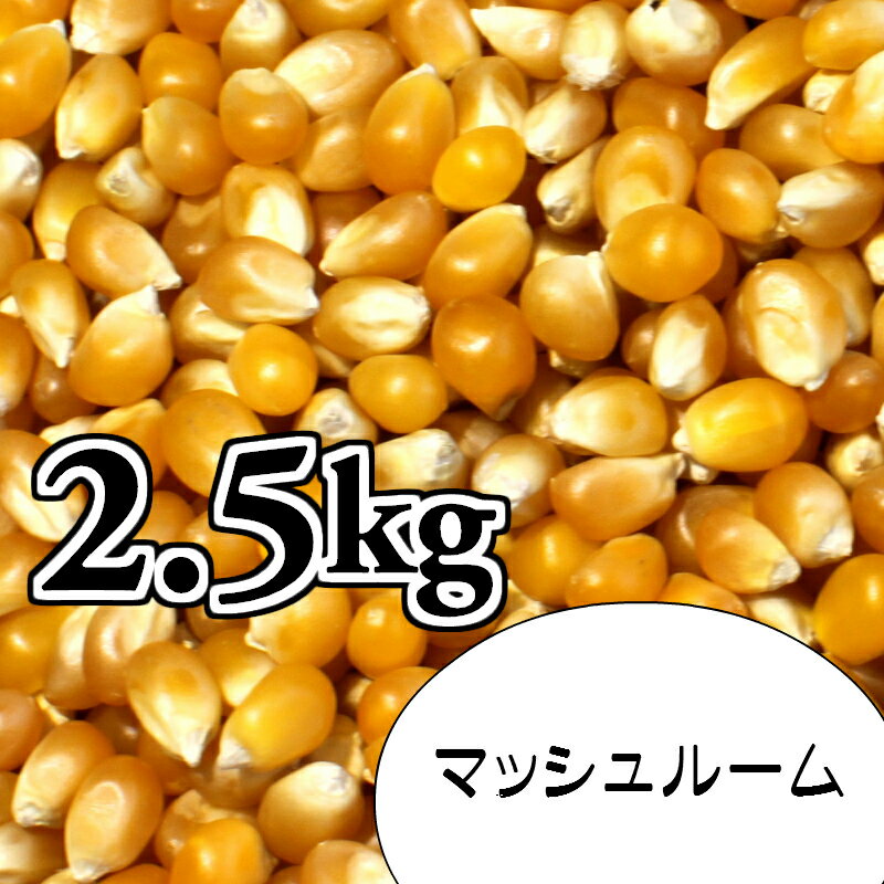 ポップコーン豆2.5kg【マッシュルーム種】