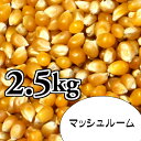 ポップコーン豆2.5kg【マッシュルーム種】 その1