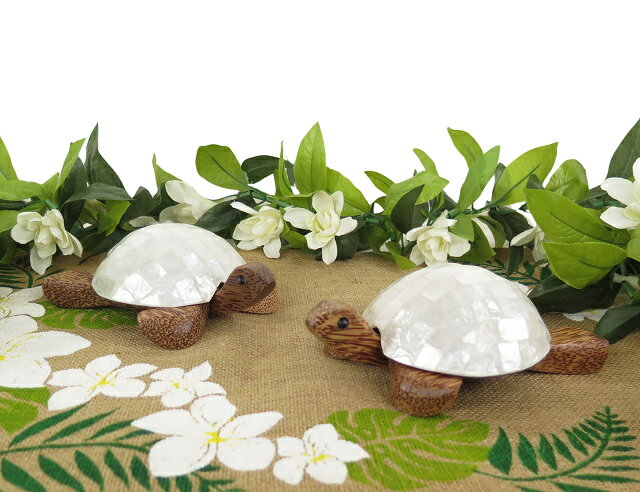 楽天市場】ココナッツ 小物入れの通販