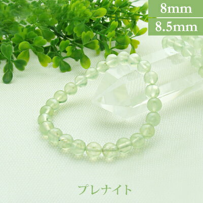 プレナイト パワーストーン ブレスレット 【8mm/8.5mm】 丸玉 天然石 【サイズS/M/L】 メンズ/レディース/ペア 連 バラ ビーズ 粒 パーツとし...