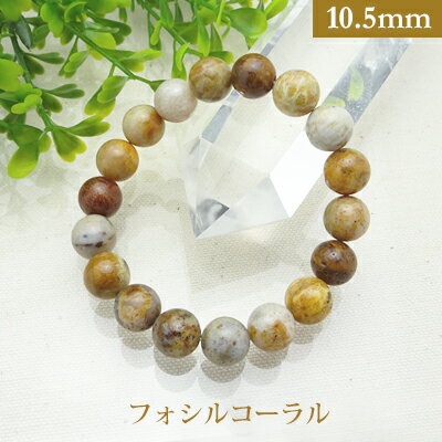 フォシルコーラル パワーストーン ブレスレット 【10.5mm】 丸玉 天然石 【サイズS/M/L】 メンズ/レディース/ペア 連 バラ ビーズ 粒 パーツとし...