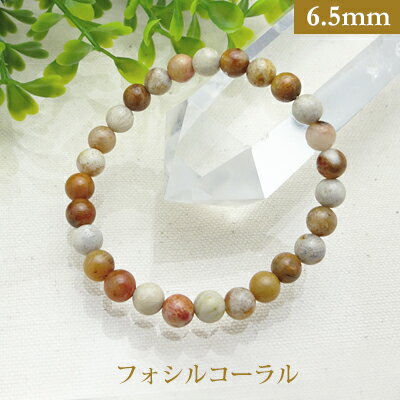 フォシル コーラル パワーストーン ブレスレット 【6.5mm】 丸玉 天然石 【サイズS/M/L】 メンズ/レディース/ペア 連 バラ ビーズ 粒 パーツとし...