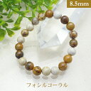フォシル コーラル パワーストーン ブレスレット 【8.5mm】 丸玉 天然石 【サイズS/M/L】 メンズ/レディース/ペア 連 バラ ビーズ 粒 パーツとし...