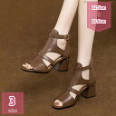 500円OFFクーポン レディース 太ヒール グラディエーターサンダル サマーブーツ バックジッパー ストラップ 夏ブーツ チャンキーヒール アンクルブーティ ...