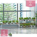 フラワースタンド プランタースタンド 3点セット ガーデニング 植木鉢スタンド 花台 おしゃれ 園芸ラック 鉢置き ガーデンラック プランターラック 観葉植物 ...