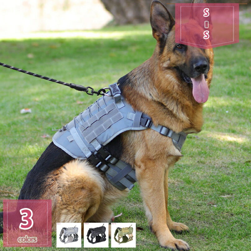 1000円OFFクーポン 犬 ハーネス リード付き かわいい おしゃれ 首輪 胴輪 散歩 ペット用品 小型犬 中型..