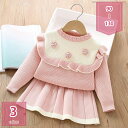 500円OFFクーポン 子供服 2点セット 長袖 トップス セーター+スカート 上下セット 女の子 スウェット キッズ 春秋冬 セットアップ カジュアルスカートセット スカート 可愛い 冬用 厚手 スカートセット 入学式 入園式 卒業式 卒園式 発表会 holosbird-goods1