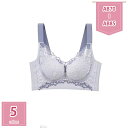 1000円OFFクーポン 盛りブラ ブラジャー 大きいサイズ 盛れる 下着 インナーウェア ノンワイヤーブラジャー レース おしゃれ セクシー ブラ 脇高 バス...