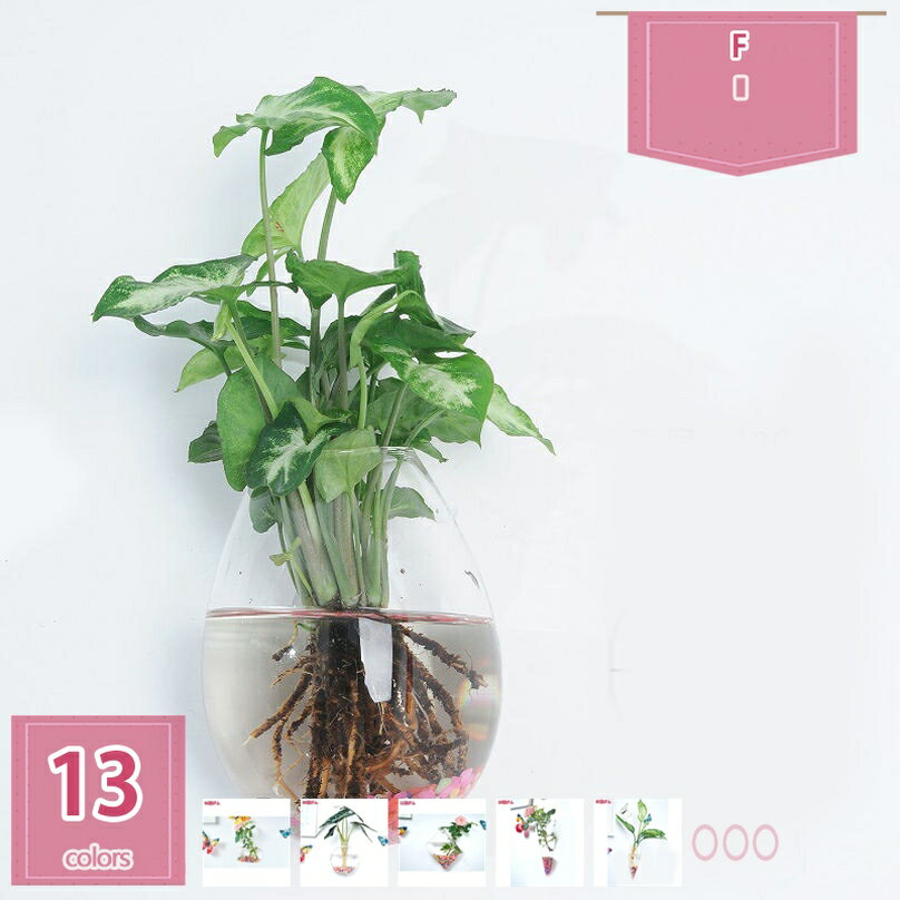 300円OFFクーポン フラワーベース 硝子 壁かけ 壁掛け花瓶 15cm 水栽培 モダンインテリア 壁 クリヤ 水生植物 ガラスベース 花瓶 小さな花瓶 おしゃれ 花びん シンプル 壁掛け 一輪挿し かわいい リアルな造花 holosbird-goods1