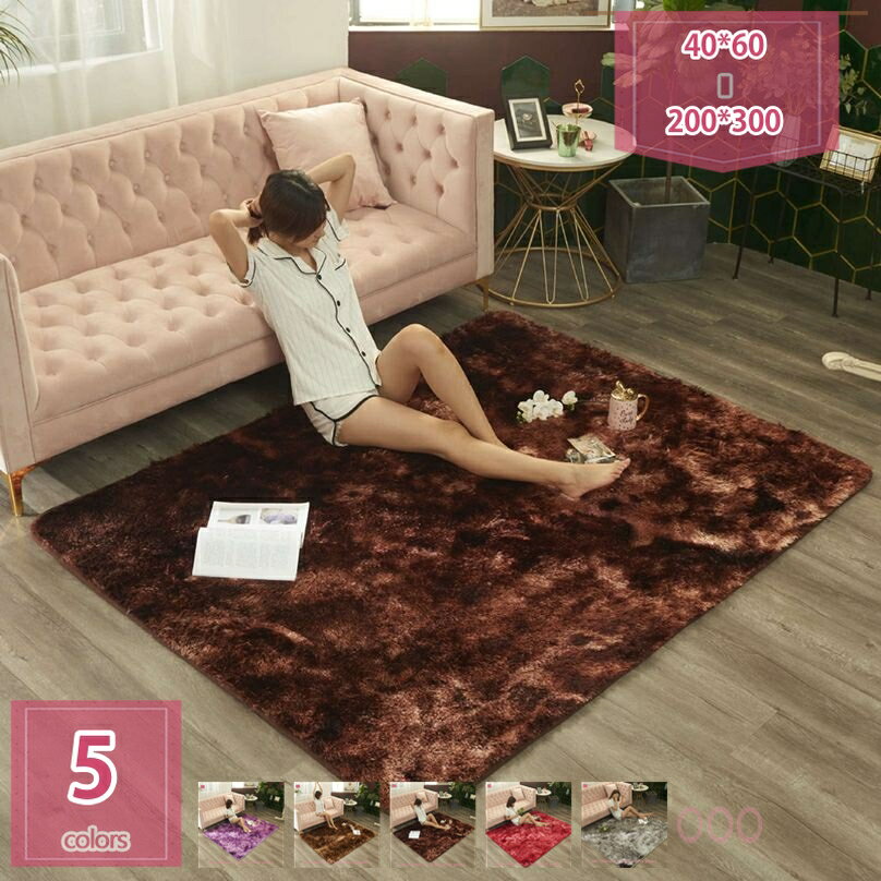 ラグマット カーペット シャギー 北欧 おしゃれ 洗える 60×160cm 絨毯 長毛 クラーデション ふわふわ 気持ちいい 滑り止め 床保護マット 抗菌防臭 防音 寝室 リビング 雰囲気 新生活 holosbird-goods1