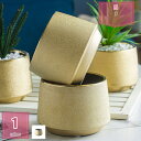 幾何学模様 植木鉢 プランター 北欧風 シンプル ガーデニング 屋内 屋外用 フラワーアレンジメント 鉢植え植物 飾り ベランダ 陶器鉢 フラワープランター ふ...