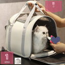 四季通用 猫 キャリーケース 通気 猫 小型犬 バックパック 大型猫 ペットキャリーバッグ 猫キャリーバッグ おしゃれ 通気性 耐久性 軽量 持ち運びが簡単 車...