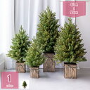 1000円OFFクーポン クリスマスツリー 卓上 可愛い 小型 針葉樹 クリスマス飾り おしゃれ キラキラ 雰囲気満々 暖かい 簡単な組立品 部屋飾り 商店 置...