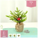 777円OFFクーポン ミニクリスマスツリー 卓上ツリー 小物 置物 装飾 オーナメント 飾り付け 雑貨 プレゼント 贈り物 組み立て簡単 クリスマスツリー 卓...