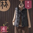 1600円OFFクーポン ショート丈 ダウンベスト レディース 冬 軽量 ベーシック ベスト ダウンジャケット ベスト 可愛い 無地 シンプル 通勤 通学 スポーツ カジュアル アウトド 暖かい 防寒 あったか シンプル おしゃれ 可愛い holosbird-goods1