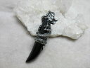 天然石ルース オプシディアン 黒曜石 五本爪龍・牙型ペンダントトップ
