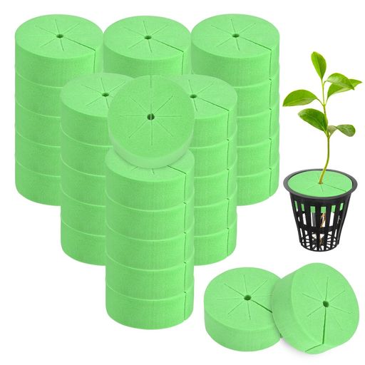 [多目的使用] - これらの水耕栽培用クローニングスポンジは種まき、水耕栽培植物、植物クローニング、野菜・ハーブ・花などの発芽に最適です。DIY育苗箱から商業用クローンマシン、室内ガーデンまで、ガーデニング愛好家からプロ栽培者まで幅広く対応 [耐久性クローニングカラーインサート] - 柔軟で耐久性・通気性に優れ、再利用可能な防水スポンジ製。植物がけんこうに早く成長する理想的な環境を提供 [サイズパッケージ] - 各クローンカラーサイズ48 x 19 mm/1.89 x 0.75"(幅x高さ)、2"ネットポット対応。緑カラー60個セットでガーデニングプロジェクトを充分サポート [特長] - 8スリットデザインが挿し穂を保護し茎への負担の軽減。中心穴付きで挿入容易、根張り強化と成長促進・収量向上を実現 [設置方法] - 2"ネットカップまたはクローンマシンスロットにクローンカラーをセットし植物を挿入。茎周りのスリットを締め付けすぎないよう注意