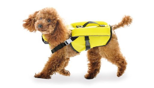 PFI(ピーファイ)犬用フローティングベストライフジャケットSSサイズレモン日本製Wフロート構造ペット用品小型犬水遊びプール海川SUP