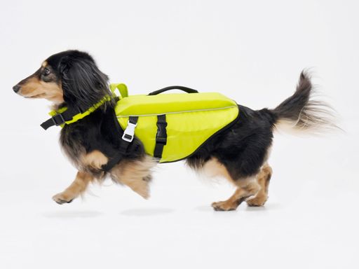 PFI(ピーファイ)犬用フローティングベストライフジャケットSサイズレモン日本製Wフロート構造ペット用..