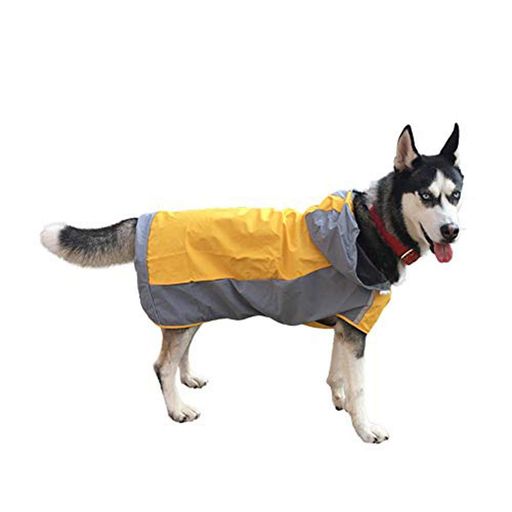 쥤󥳡ȸĶ帤ѼƸ籩åѸåѡھۡ淿Ͻ餫ɥåադڥåȼƸ籩åæñ̵8