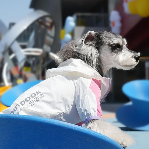 小型犬用uvコートペット用uvコート犬用防水レインコートです(L)