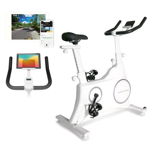 アルインコ(ALINCO)スピンバイクエアロバイクフィットネスバイク家庭用7段階負荷ホイールカバーサドル..