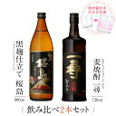焼酎 ギフトセット 色が変わるグラス付き 2本セット ( 芋焼酎 黒麹仕立て桜島 900ml & 麦焼酎 一尋 720ml ) / 送料無料 お祝い ギフト 対応無料 本坊酒造 芋焼酎 麦焼酎 セット 男性 プレゼント / 本坊酒造 公式通販