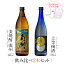お酒 ギフトセット 色が変わるグラス付き 2本セット ( 麦焼酎 南洲 900ml & 上等梅酒 720ml ) / 送料..