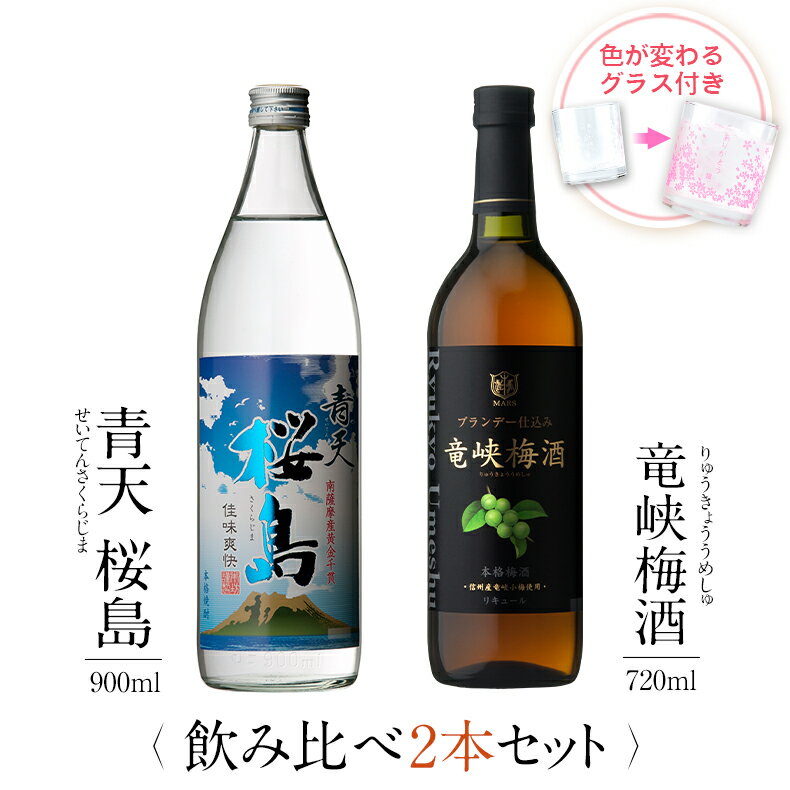 焼酎 飲み比べ グラス 付き 2本 セッ