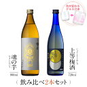お酒 ギフトセット 色が変わるグラス付き 2本セット ( 芋焼酎 魂の芋 900ml & 上等梅酒 720ml ) / 送料無料 お祝い ギフト 対応無料 本坊...