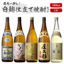 蔵元厳選 白が際立つ 焼酎 白麹 飲み比べ 1800ml 一升瓶 5本セット ( あらわざ桜島 さくらじま おはら 屋久杉 桜岳 ) / 送料無料 お祝い ギフ...