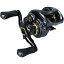 Daiwa ベイトリール スティーズ CT SV TW 700H (右ハンドル) 2019モデル Daiwa ベイトリール スティーズ CT SV TW 700H (右ハンドル) 2019モデル